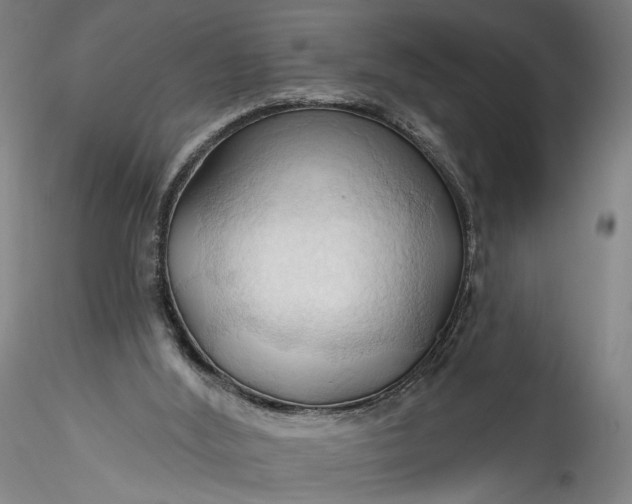 X0000115790012200911271237