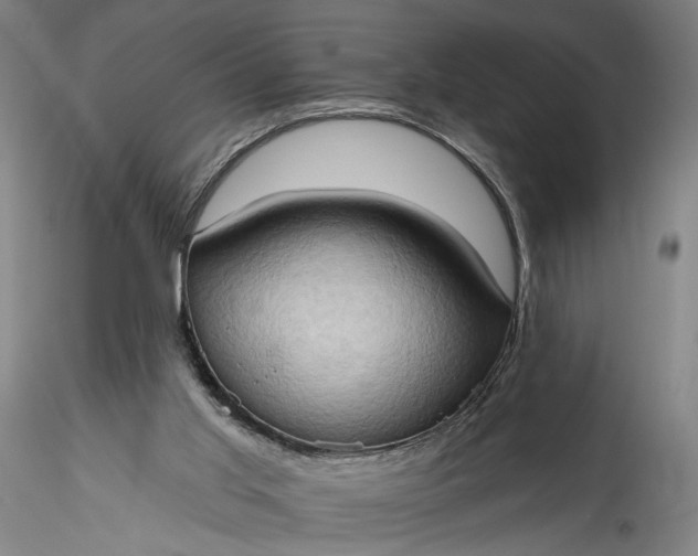 X0000115790013200911271237