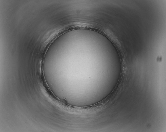 X0000115790014200911271237