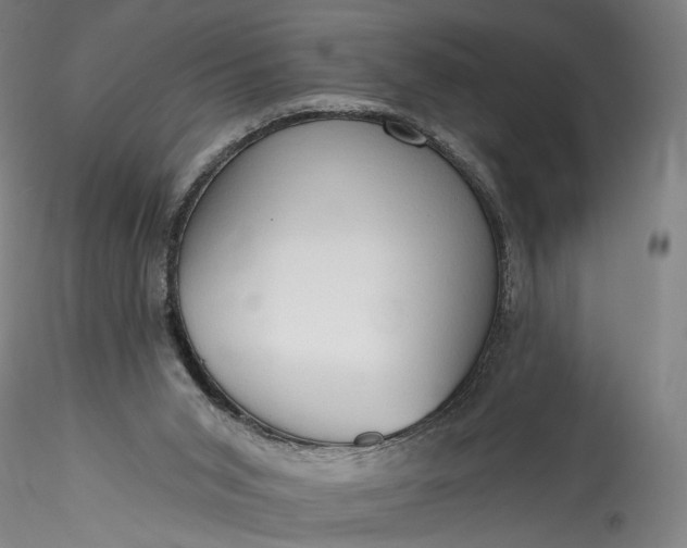 X0000115790015200911271237