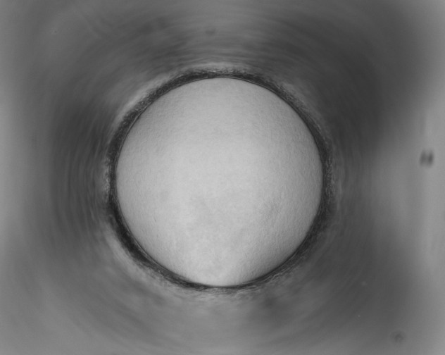 X0000115790016200911271237