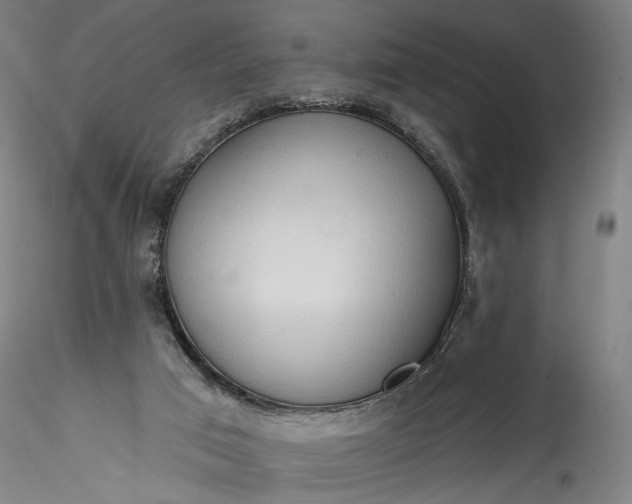 X0000115790017200911271237