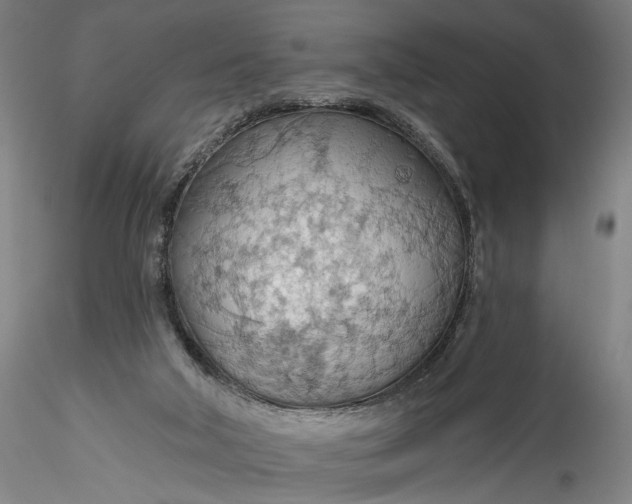 X0000115790018200911271237