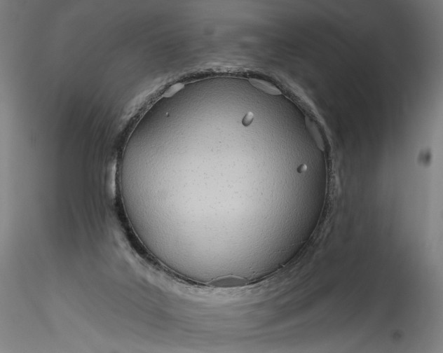 X0000115790019200911271237