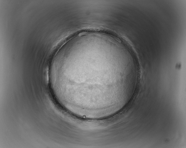 X0000115790020200911271237