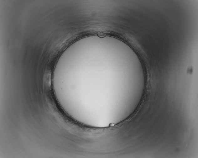 X0000115790021200911271237