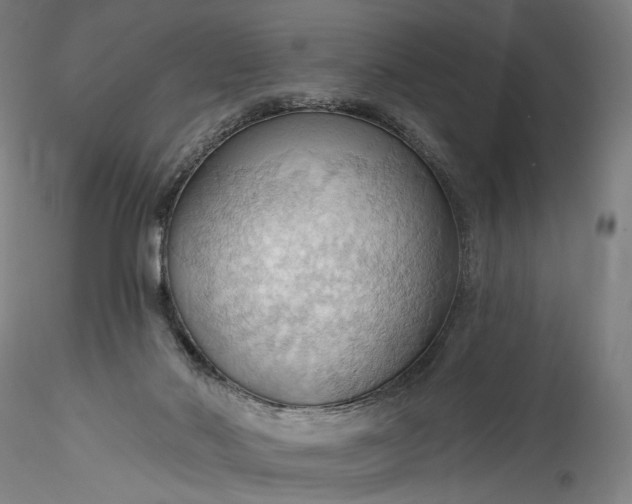 X0000115790022200911271237