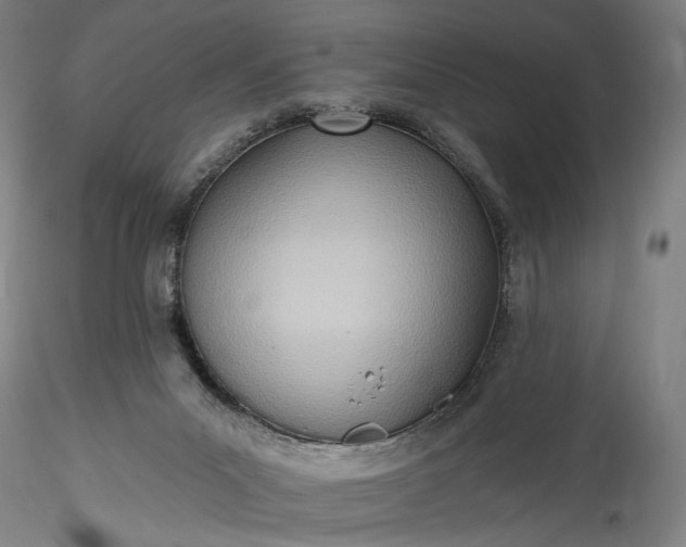 X0000115790023200911271237