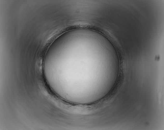 X0000115790024200911271237