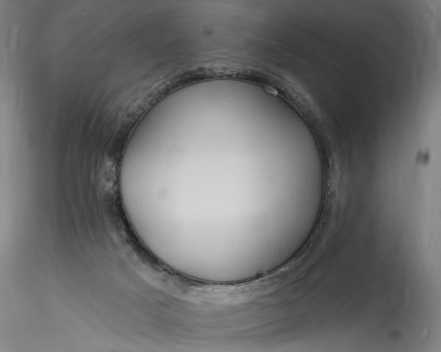 X0000115790025200911271237