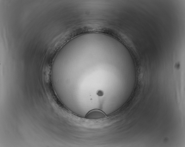 X0000115790026200911271237