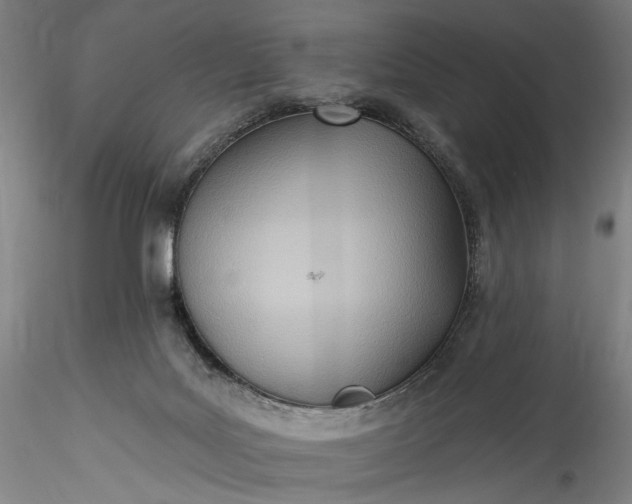 X0000115790027200911271237