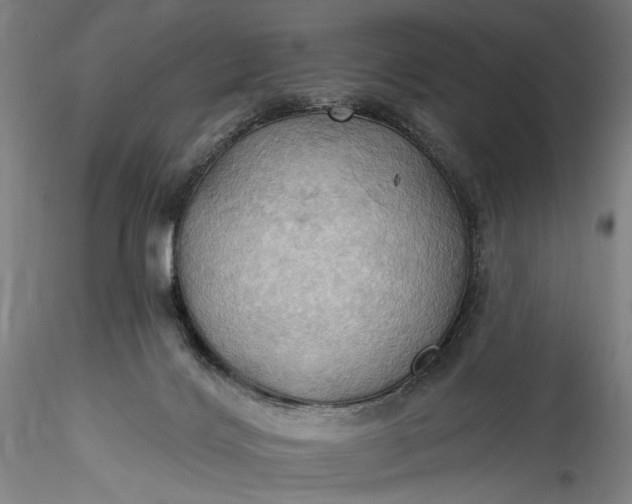 X0000115790028200911271237