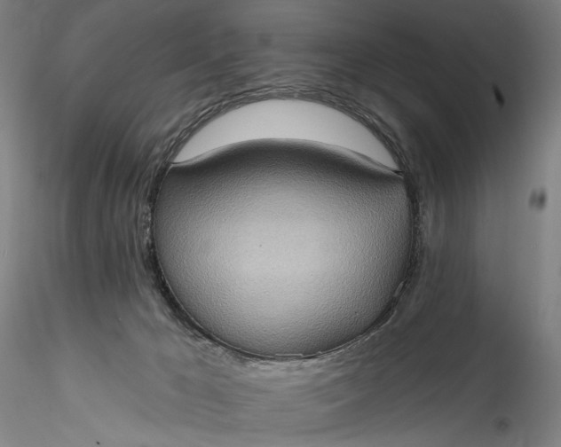 X0000115790029200911271237