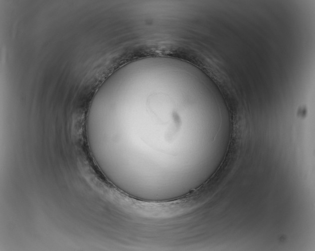 X0000115790030200911271237