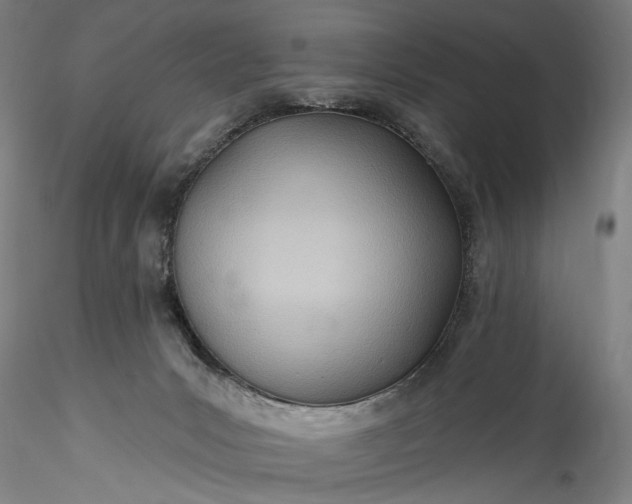 X0000115790031200911271237