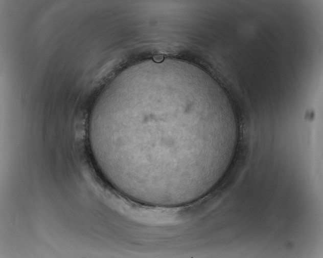 X0000115790032200911271237