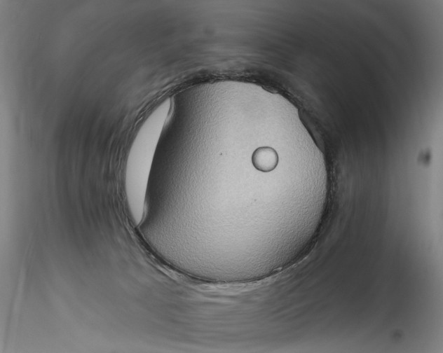 X0000115790033200911271237