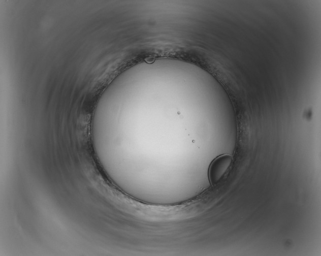 X0000115790034200911271237