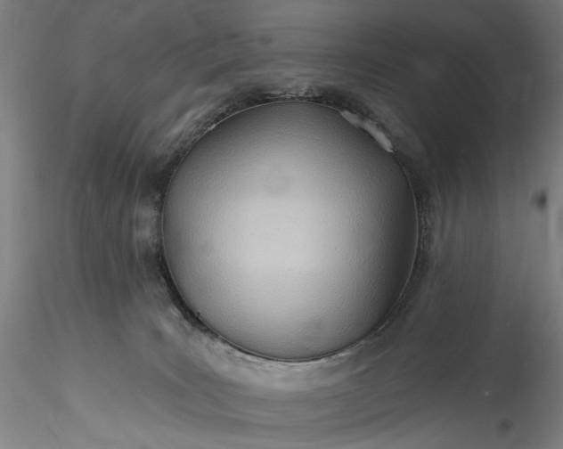 X0000115790035200911271237