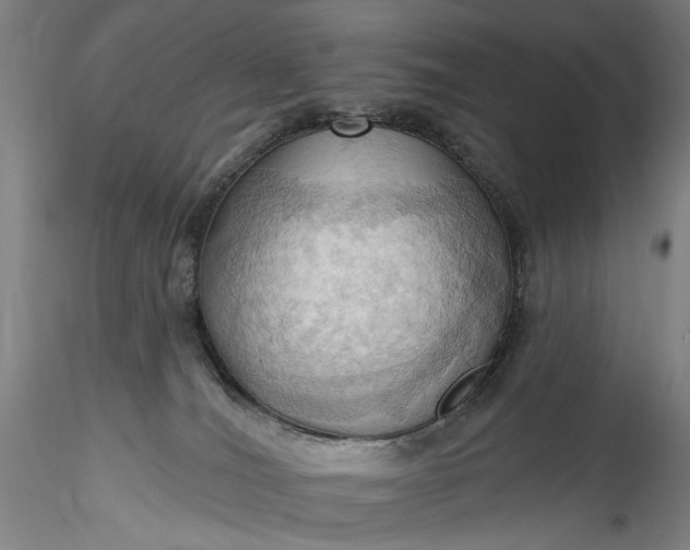 X0000115790036200911271237