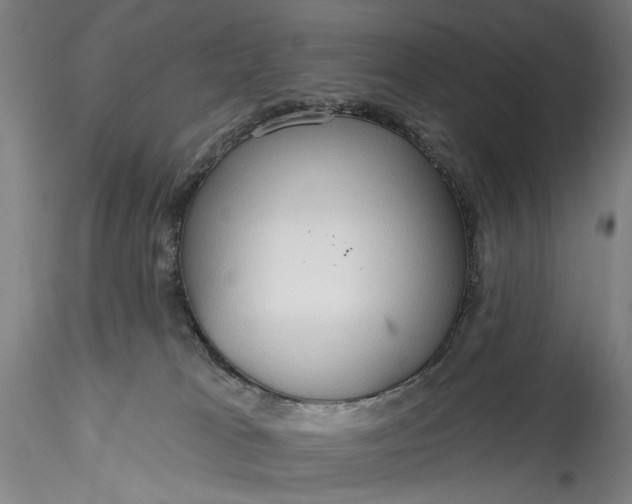 X0000115790037200911271237