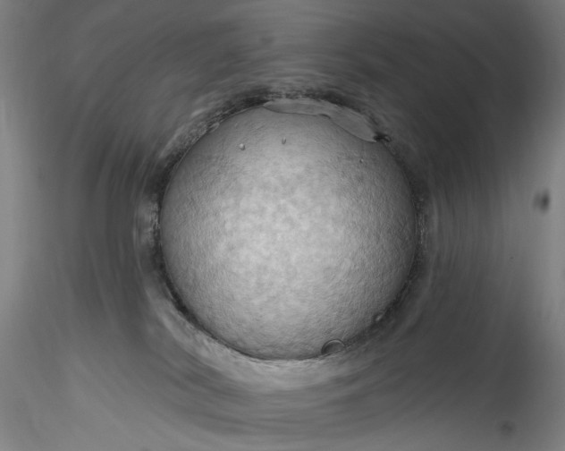 X0000115790038200911271237