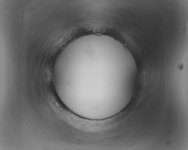 X0000115790039200911271237