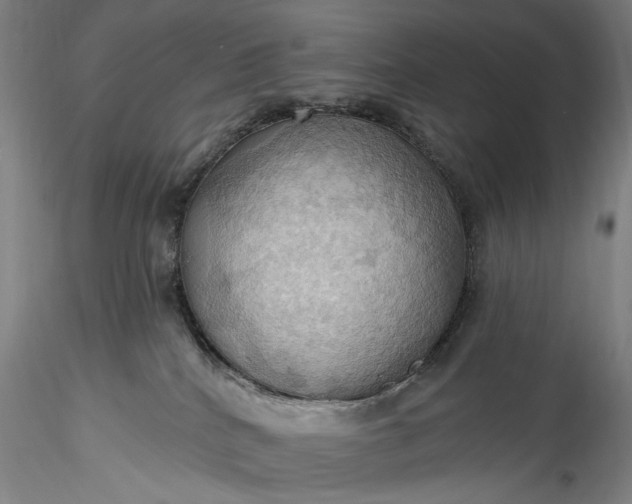 X0000115790040200911271237