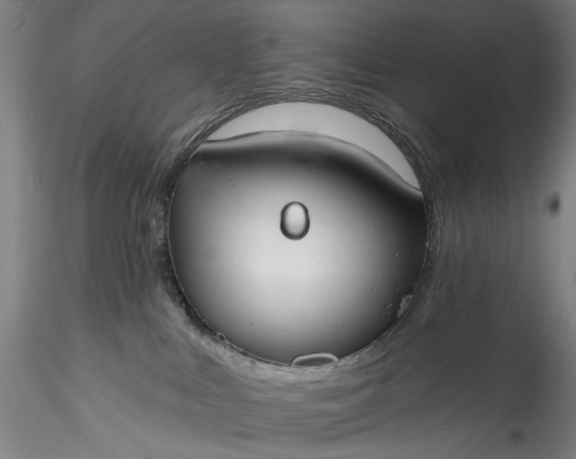 X0000115790043200911271237