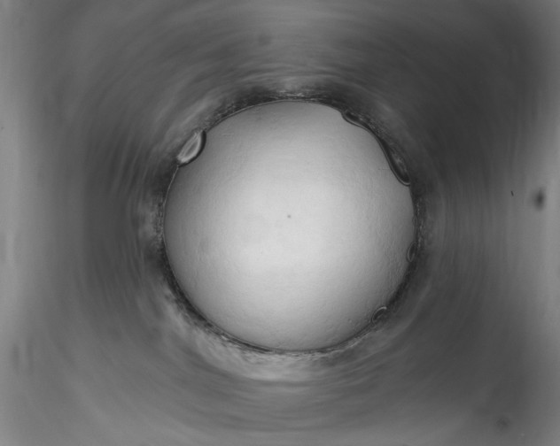 X0000115790044200911271237