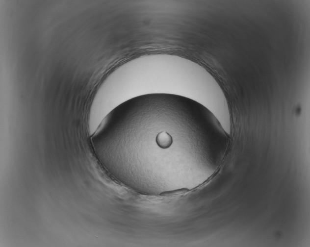 X0000115790045200911271237