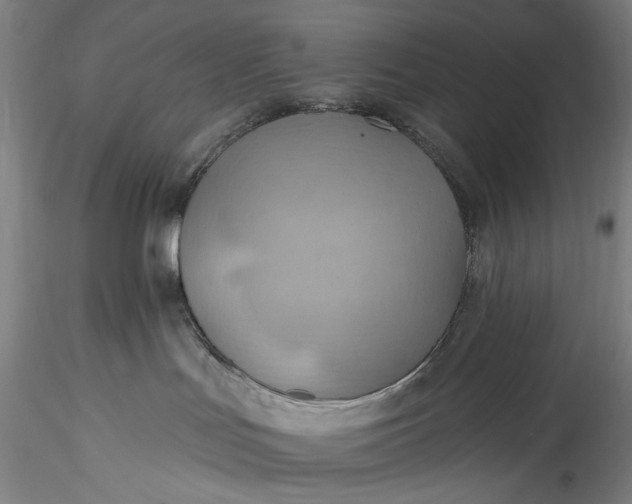 X0000115790047200911271237