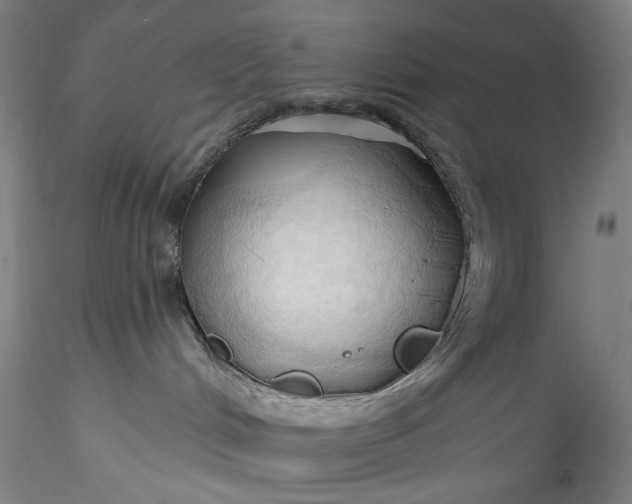 X0000115790048200911271237