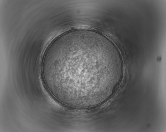 X0000115790049200911271236