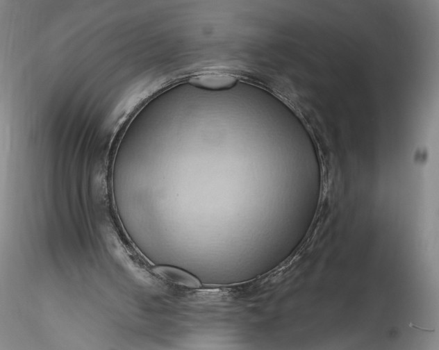 X0000115790050200911271236