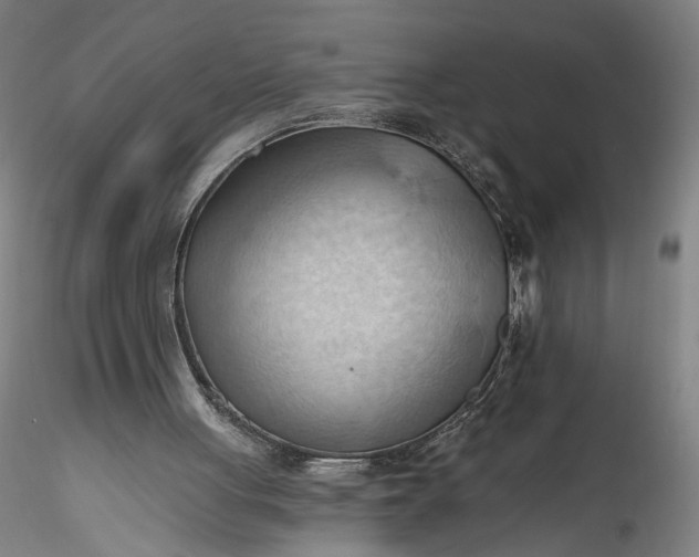 X0000115790051200911271236