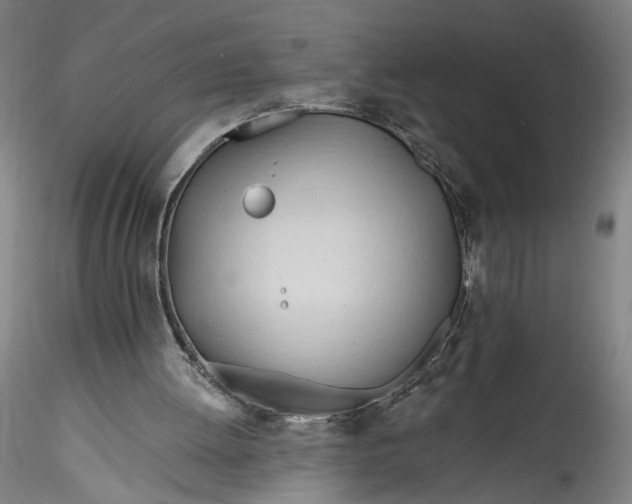 X0000115790052200911271236