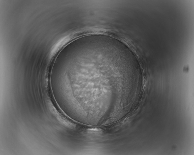 X0000115790053200911271236