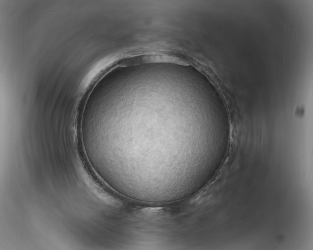 X0000115790054200911271236