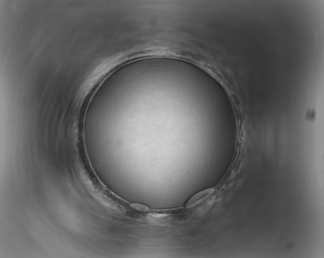 X0000115790055200911271236