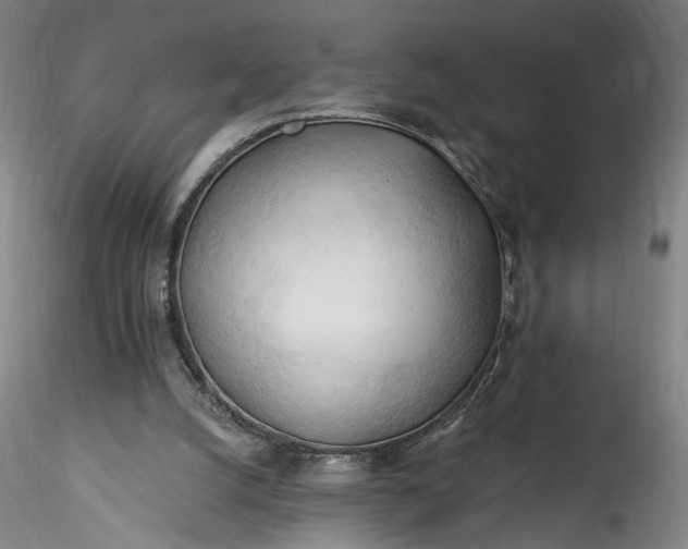 X0000115790056200911271236