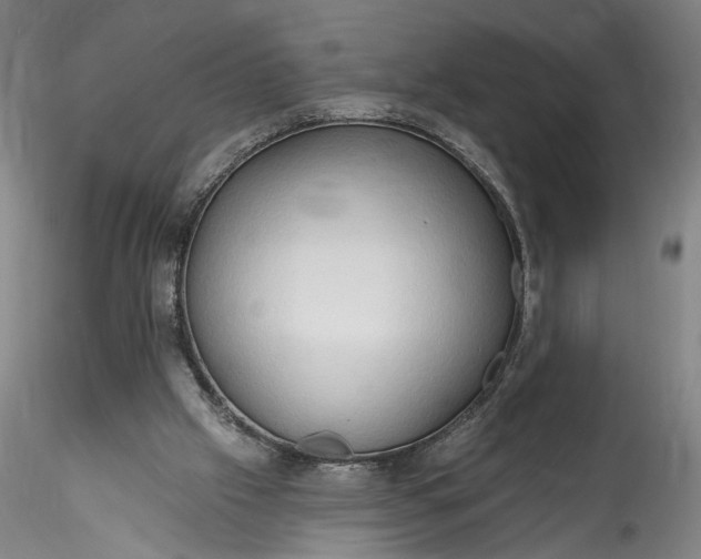 X0000115790057200911271236