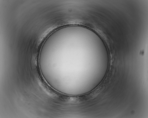 X0000115790060200911271236