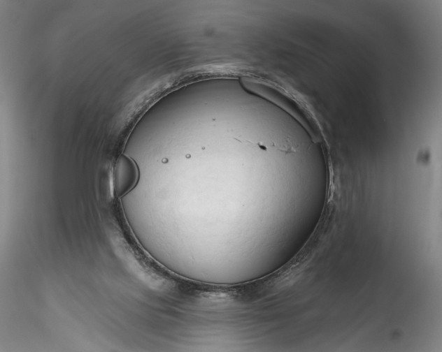 X0000115790061200911271236