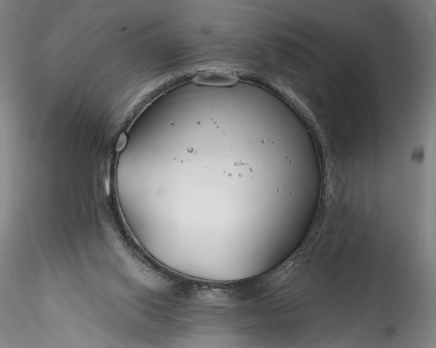 X0000115790062200911271236