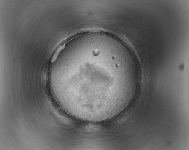 X0000115790063200911271236