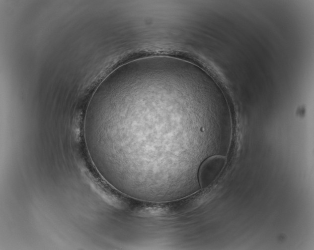 X0000115790065200911271236