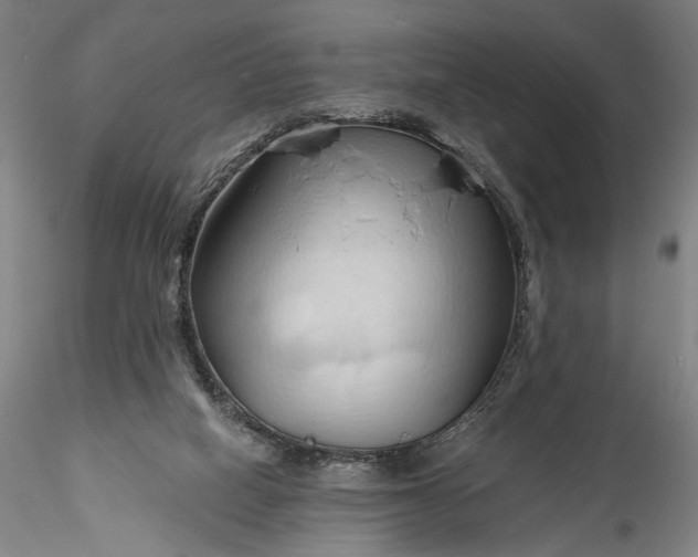 X0000115790066200911271236