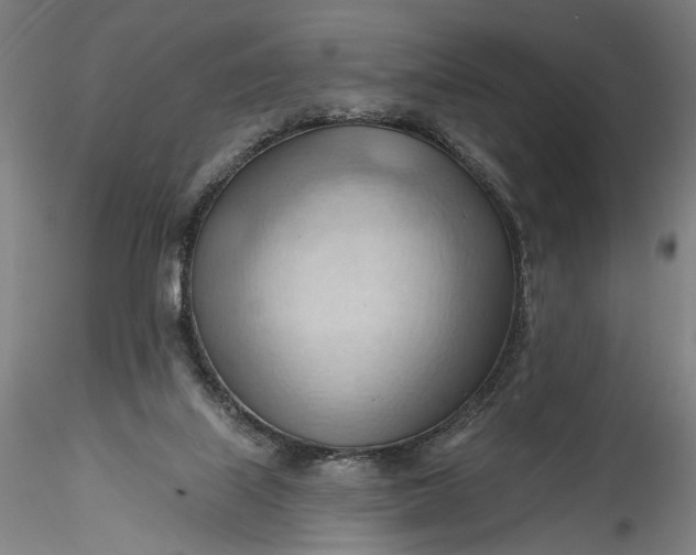 X0000115790067200911271236